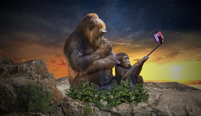 Selfie tyč chce skoro každý.